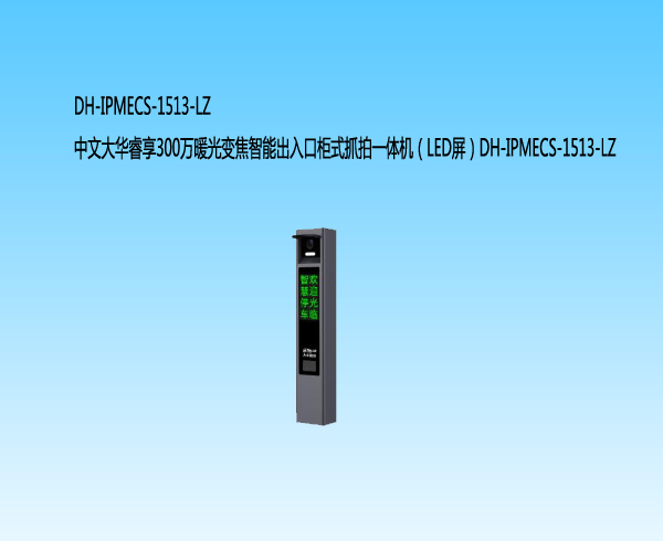 大華智能出入口柜式抓拍一體機